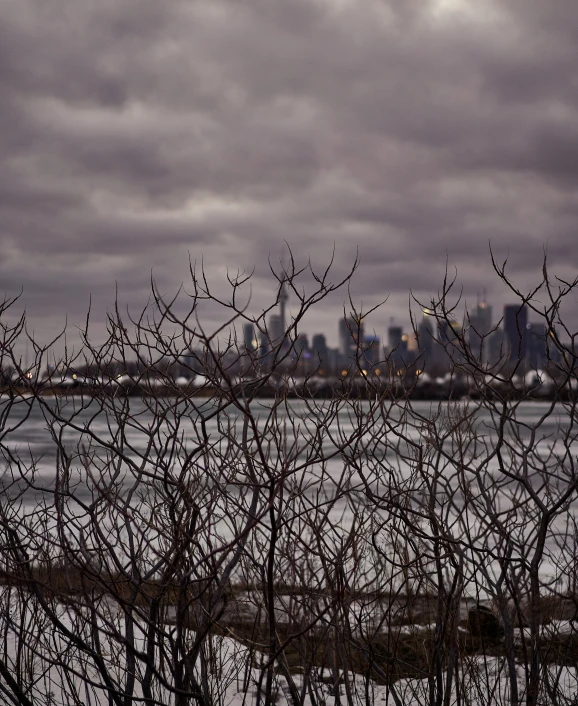 the city across from the ocean in winter