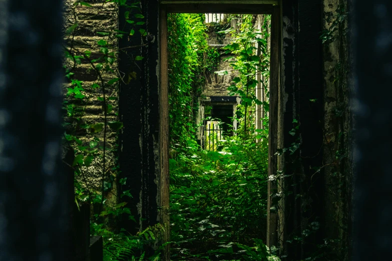 an abandoned building with vines growing all over