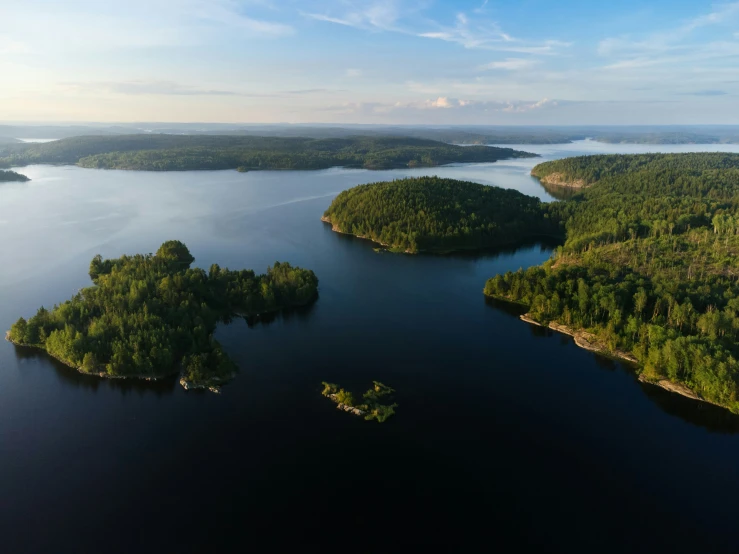 a bird's - eye view of a group of forested area