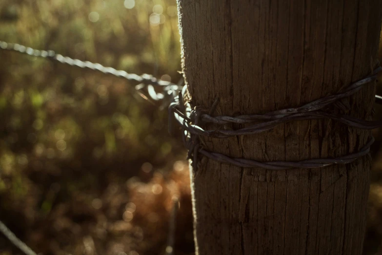 there is a close up view of a fence