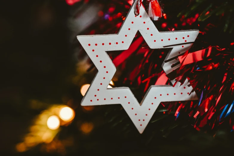 a christmas ornament hanging on a tree