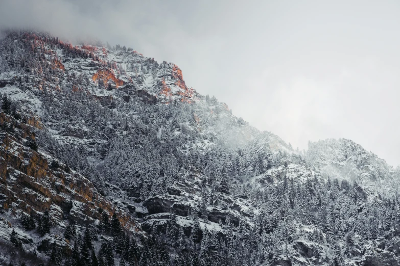 snow falling on a mountain with evergreen trees below