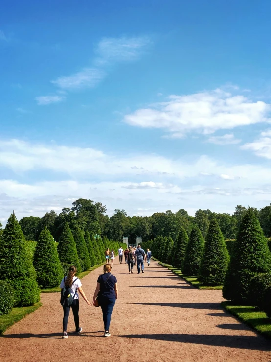 several people walking down a dirt path that has trees along it