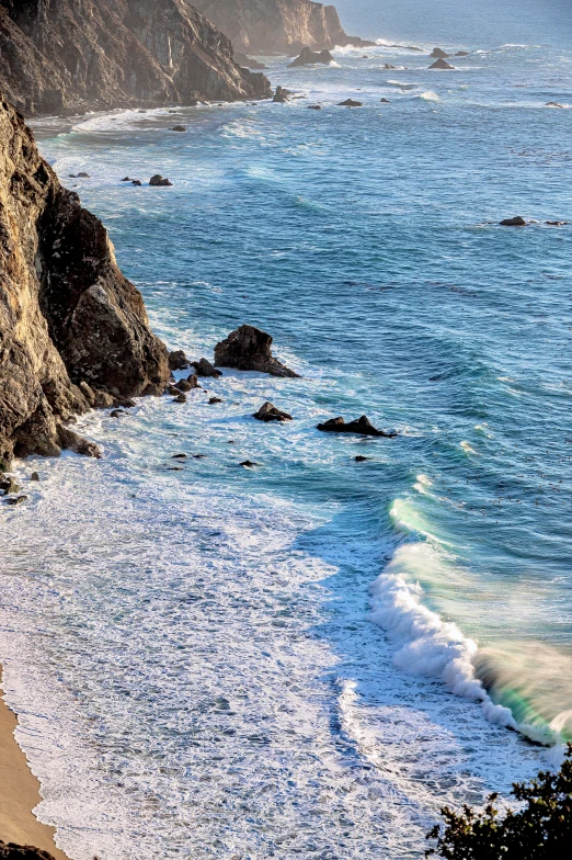 a bird perched on top of a cliff next to the ocean