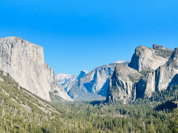 view of some tall mountains from inside a forest