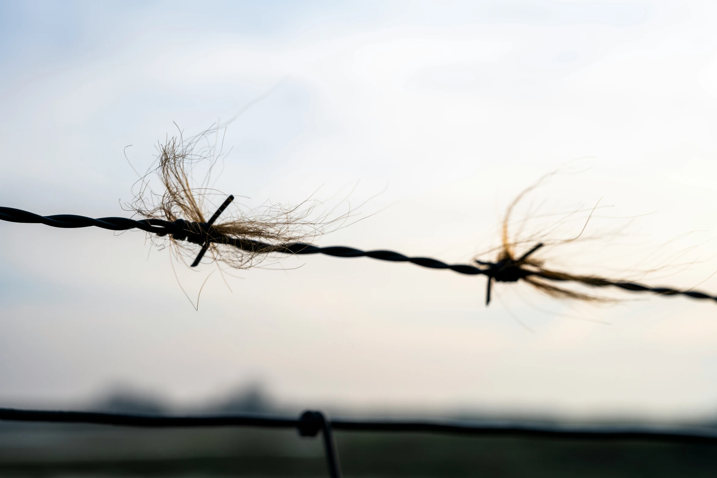 a picture of some sort of thing on top of a fence