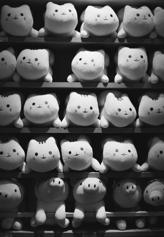 large group of white stuffed animals on shelves