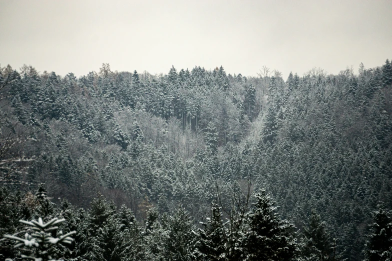 a snow covered landscape with several trees on top