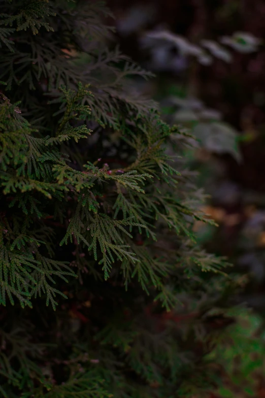 a small blue teddy bear sitting in front of a green tree