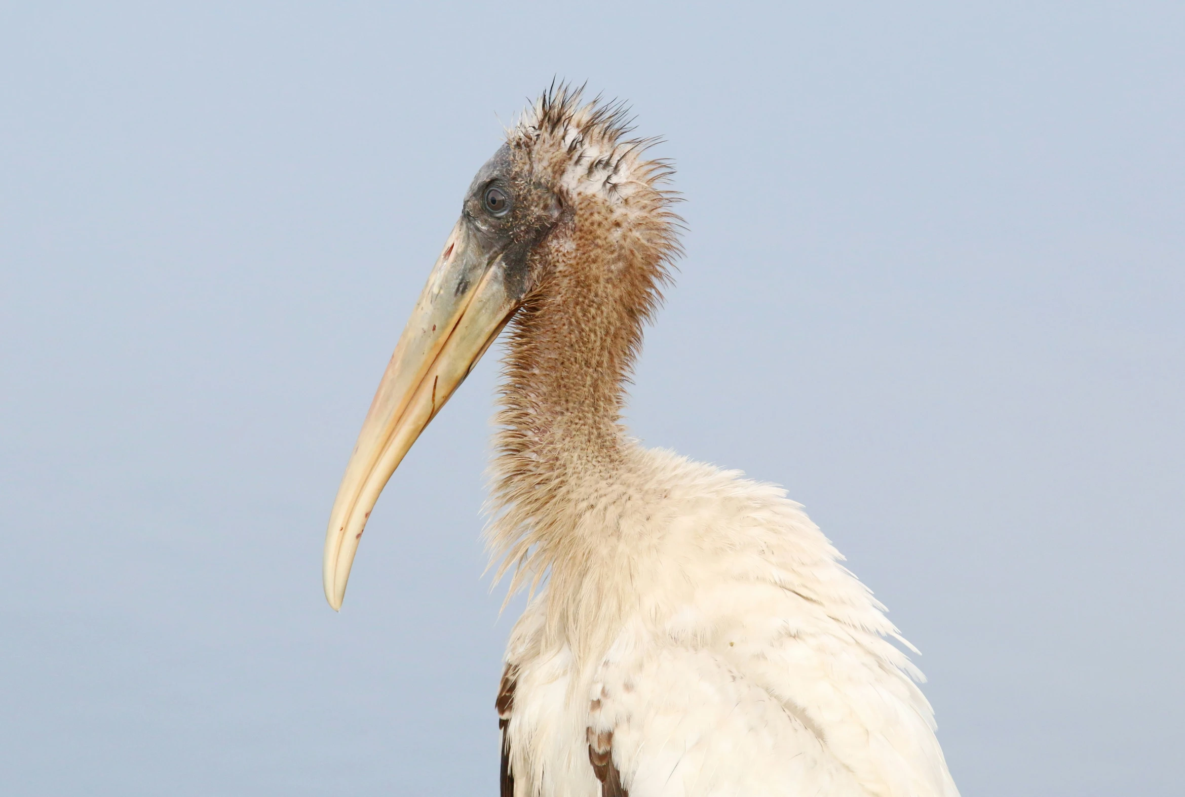 a bird standing on a rock face to face with a body of water in the background