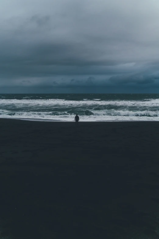 the person in the wet suit is near the ocean and a bird