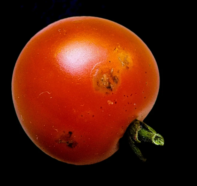 a tomato with the stem up on a black background