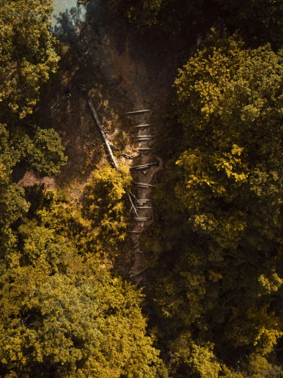 an aerial view of train tracks in a wooded area