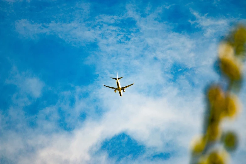 the plane is flying high in the blue sky