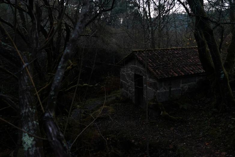 an old house is hidden among the trees