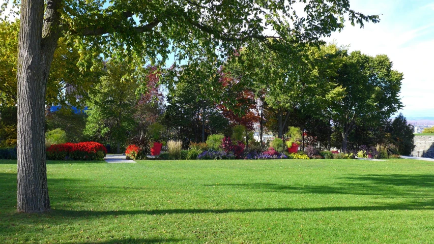a lush green park with a fire hydrant in the middle