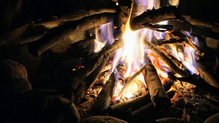 a blazing wood with several different colored flames