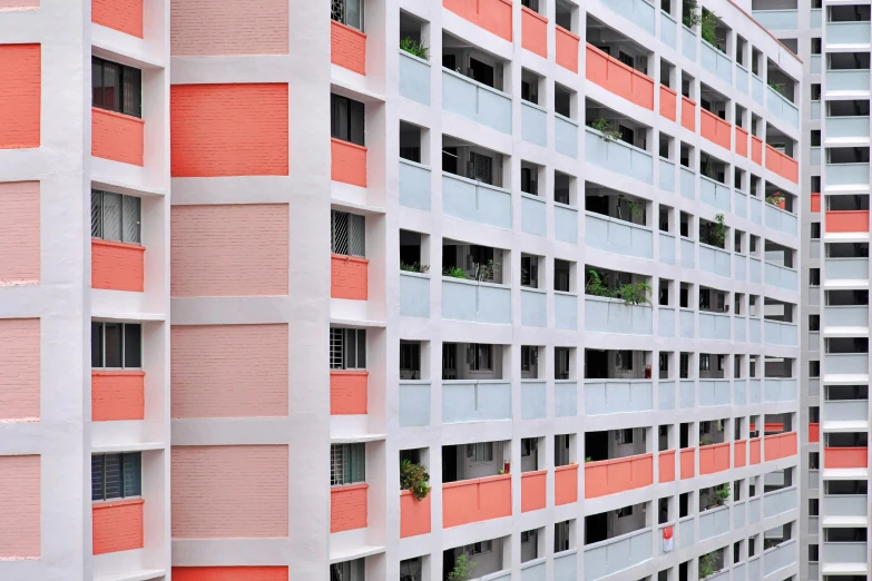 a po taken from inside an open window in a multicolored building