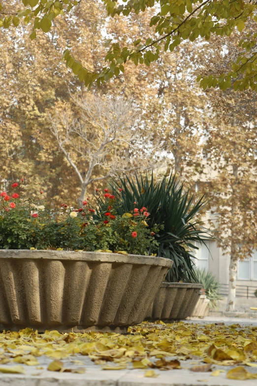 a large concrete planter next to trees with leaves