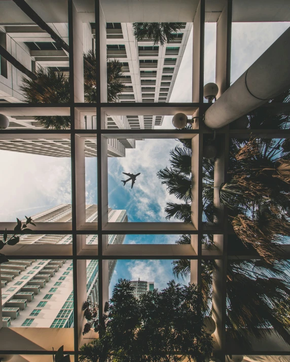 the view from outside a glass - walled office building