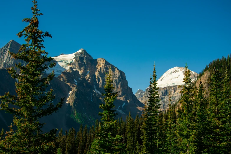 a view of trees on the side of mountains