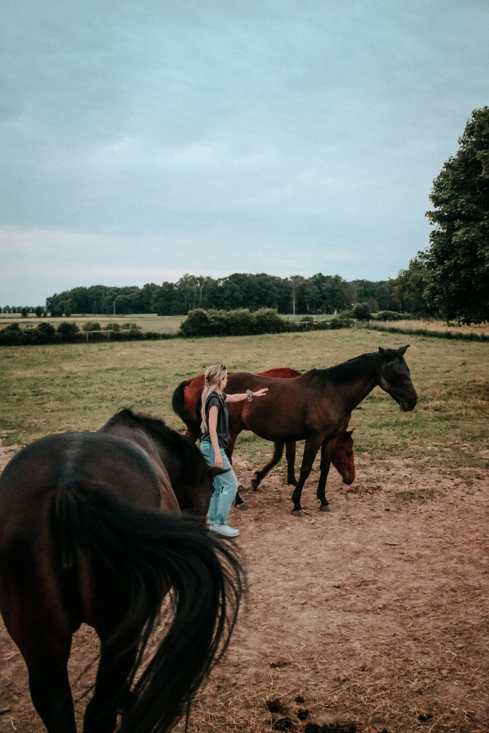 a person standing next to two horses in a field