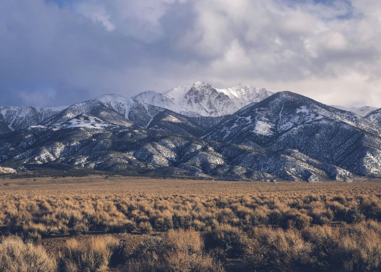 mountains covered in snow stand in the background