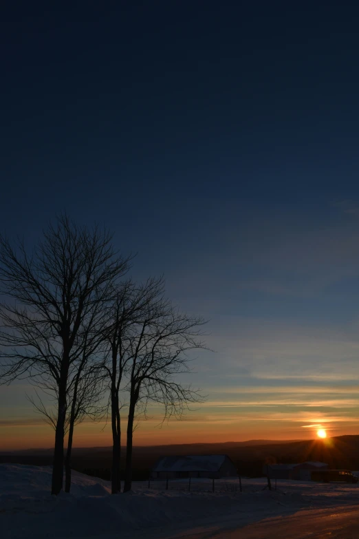 a couple of trees standing in the snow at sunset