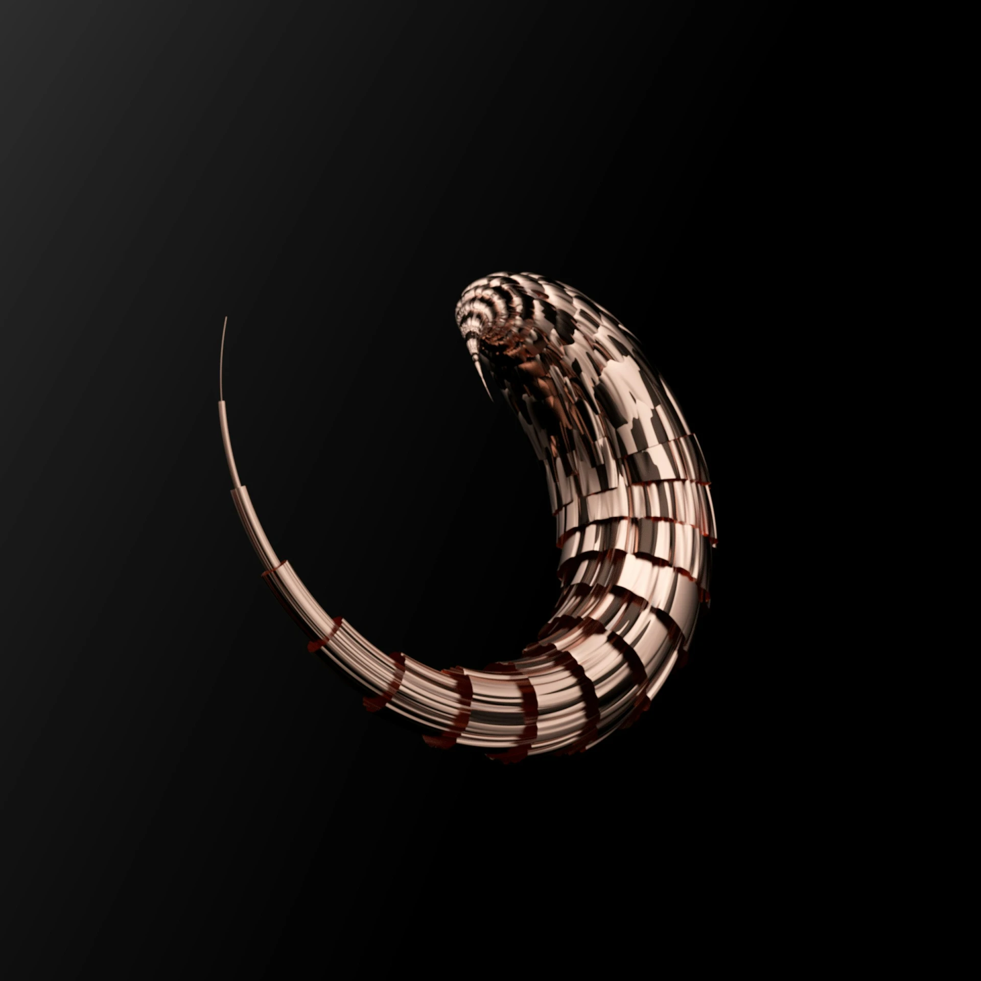 a snake is curled into a curve with black background