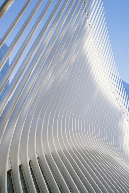 the curved architecture of a building is reflected in a dle of water