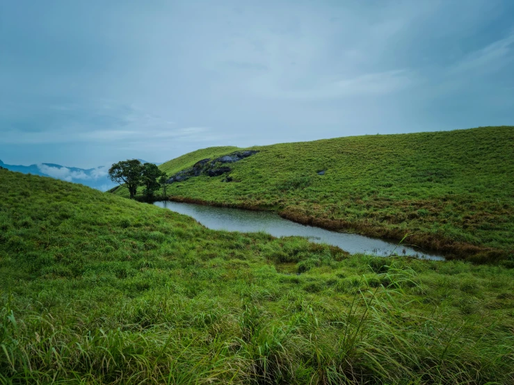 a mountain side with a small river running through it