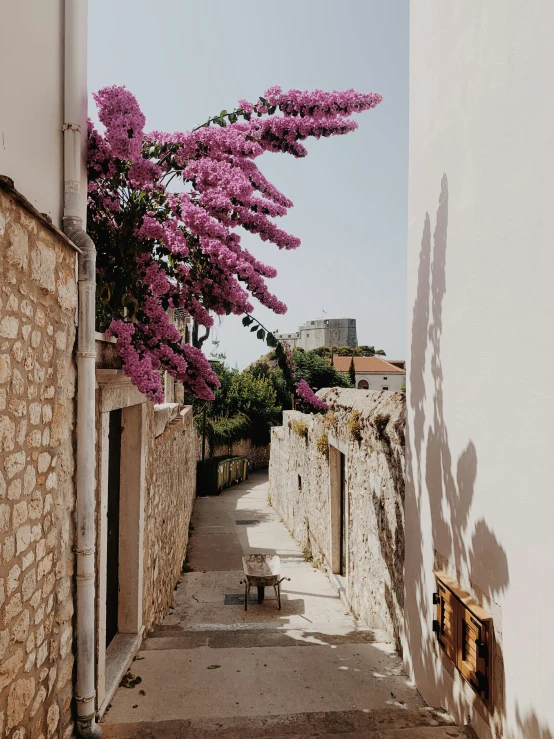 a white wall is next to a stone bench and purple flowers