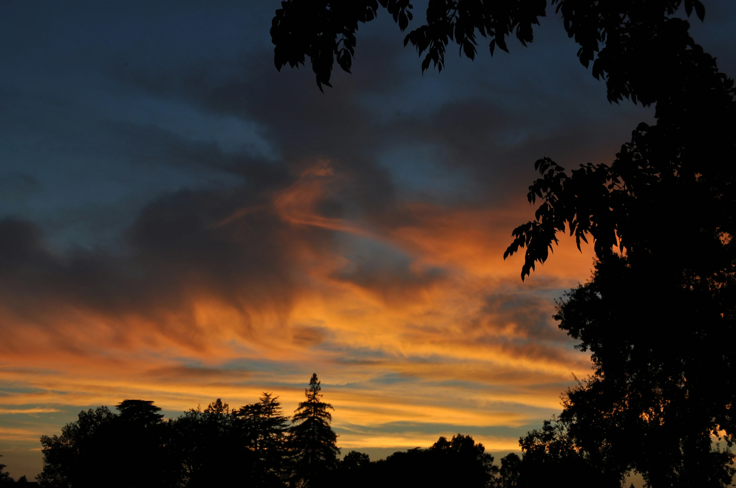 clouds are seen on a cloudy evening over trees