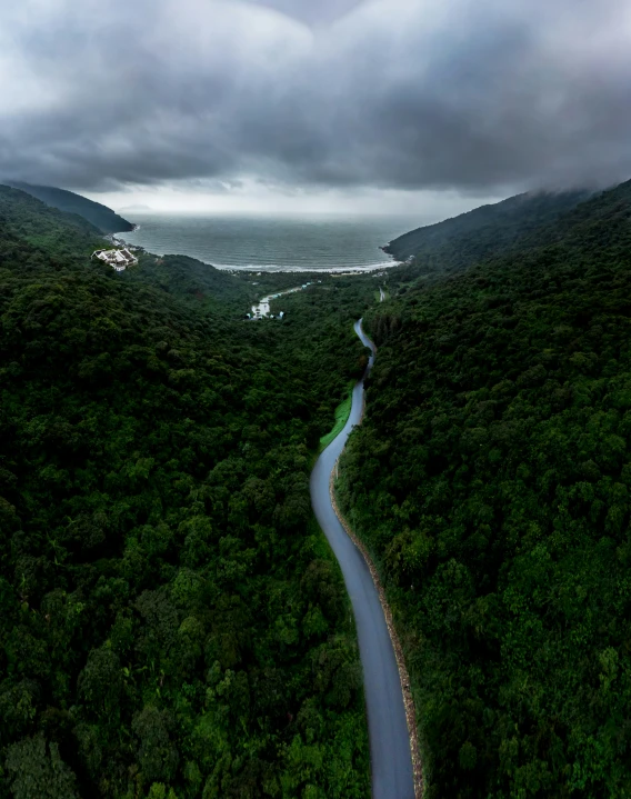 a winding road and a lot of trees with clouds above