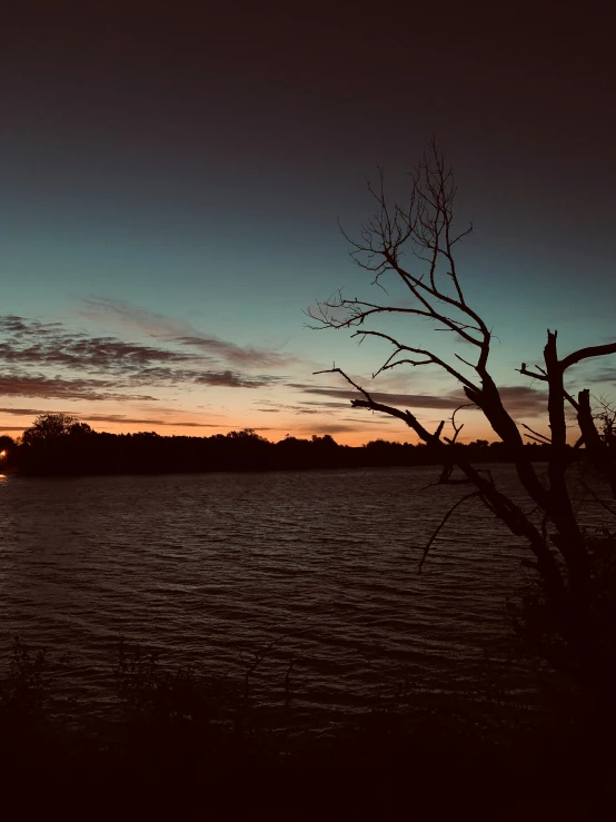 sunset over water with dark sky and large dead tree