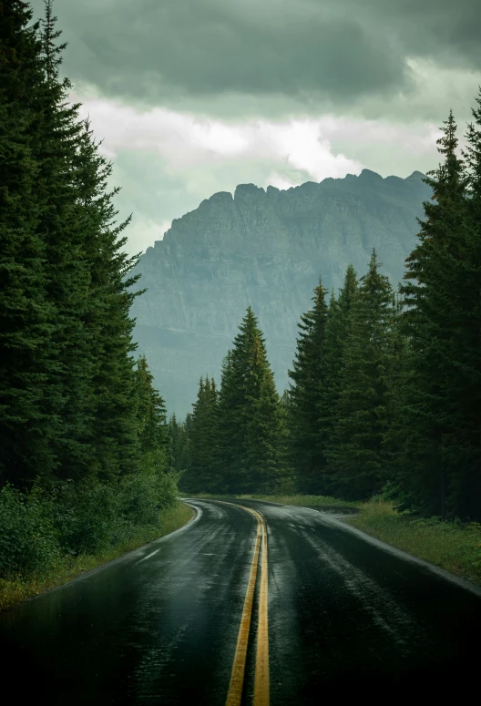 the road is empty for many people to drive