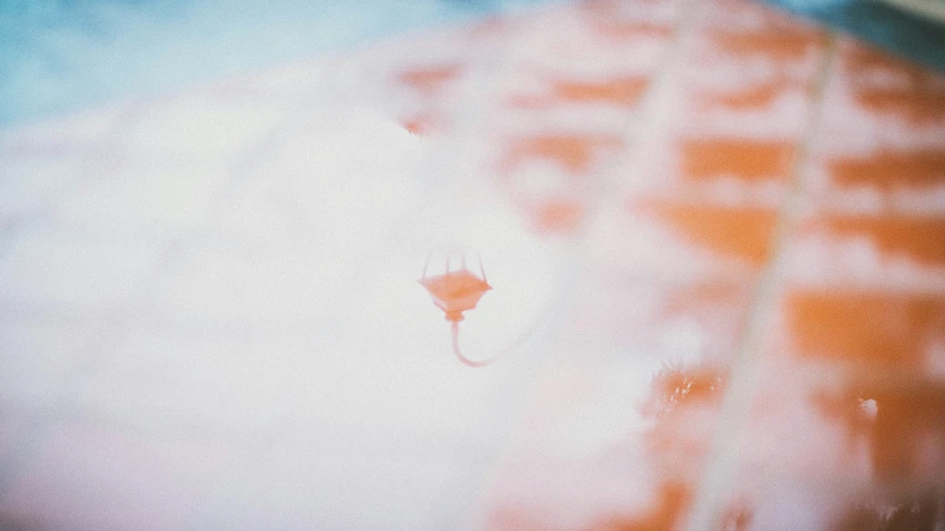 blurry pograph of a white cat with red and brown spots