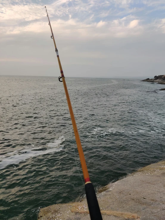 a close up of a fishing rod on a rock near water