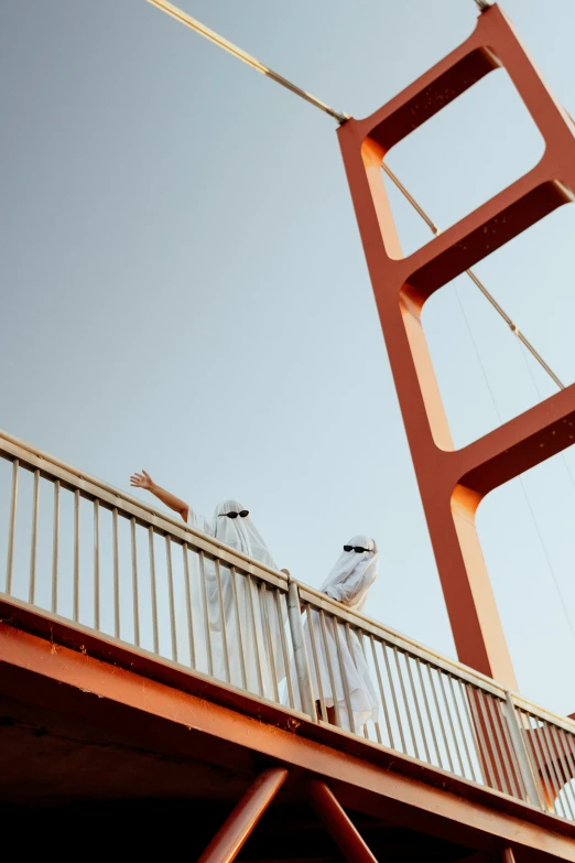 two white birds standing on top of a bridge