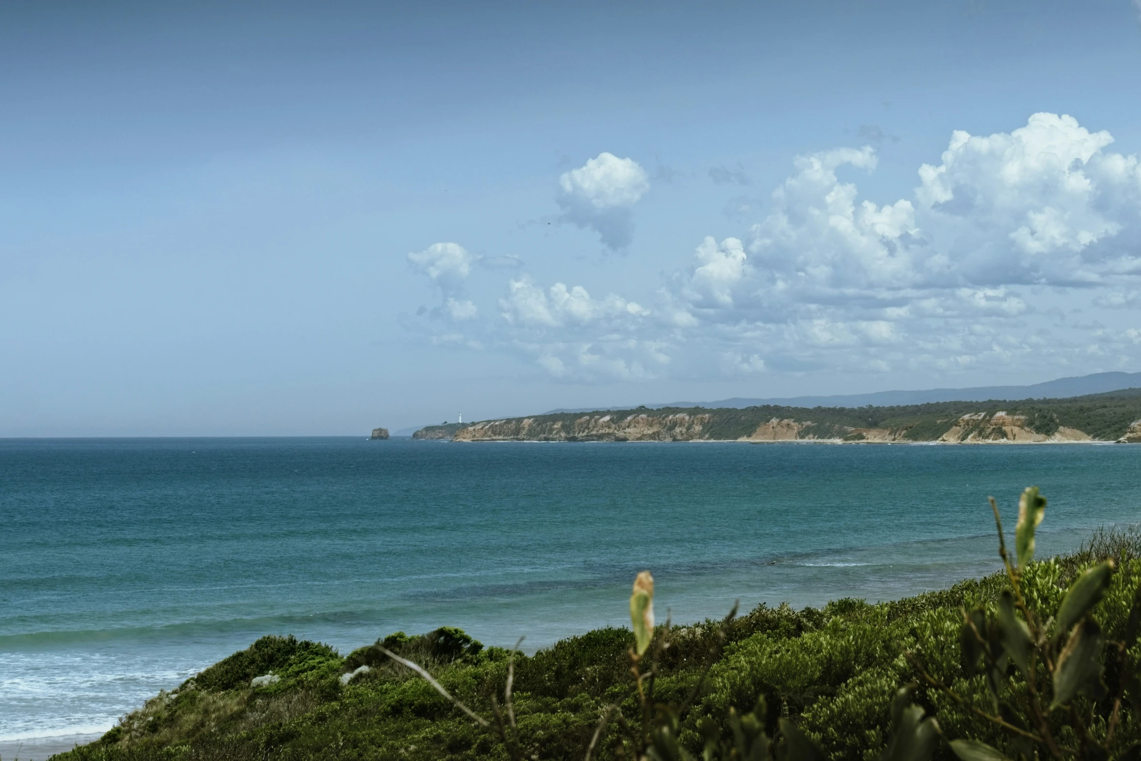 there is an ocean view and grass in the foreground