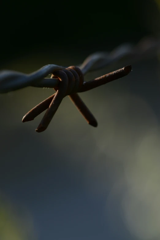 the cross wire is attached to the wire