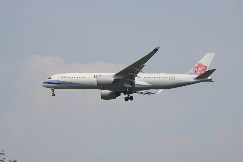 a big jumbo jet flying through a cloudy sky