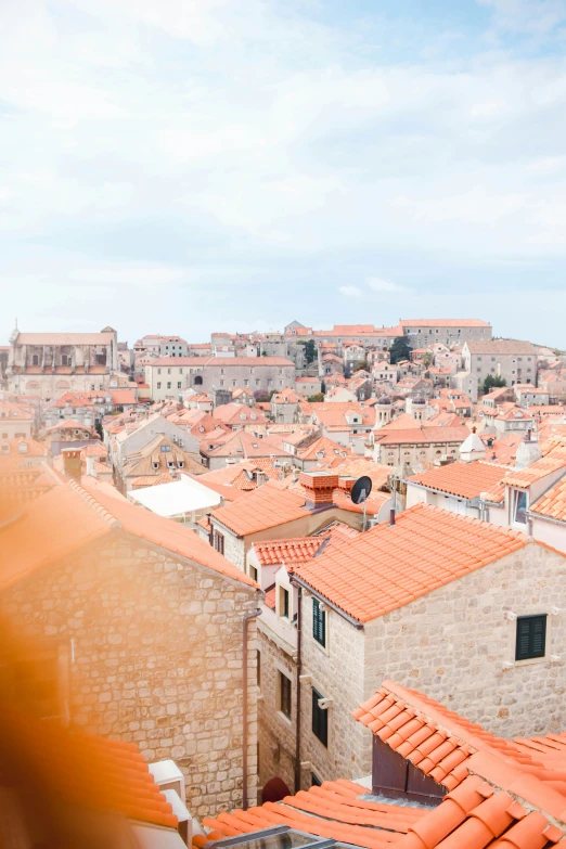 rooftops of several buildings with red tiled roofs