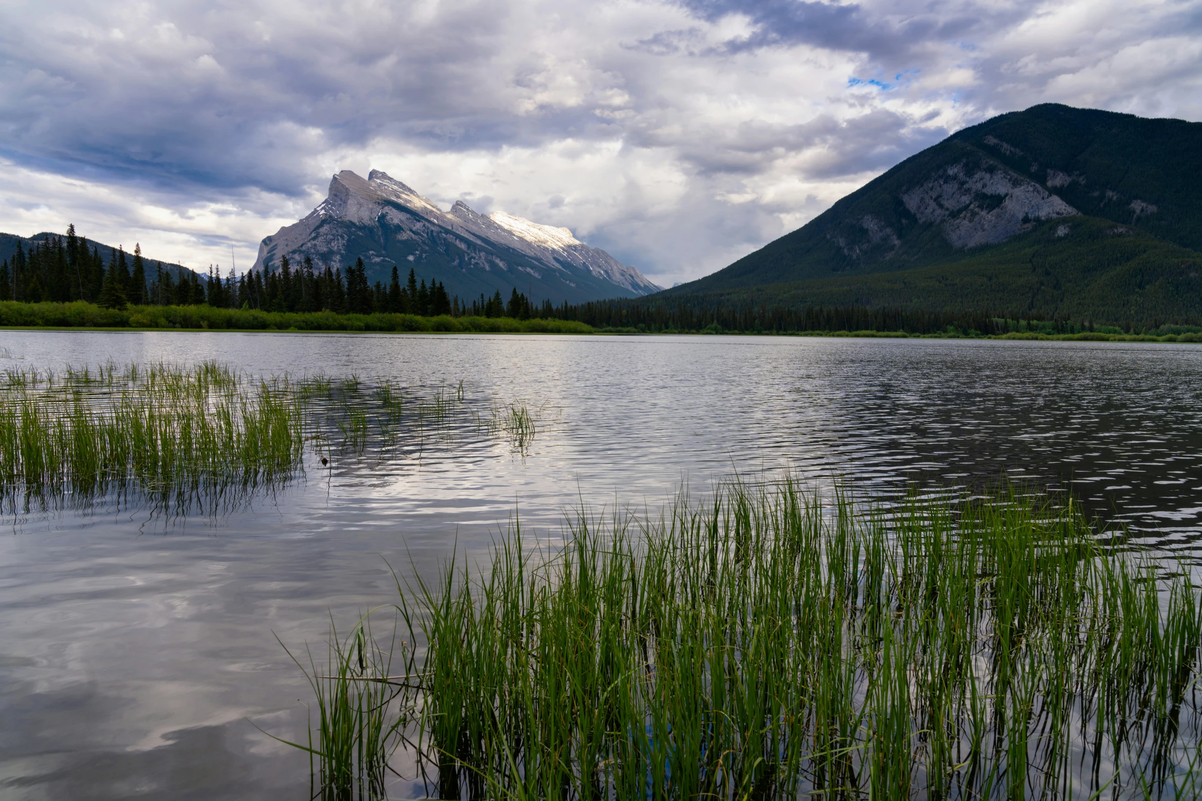 water, grass and mountains are in the background