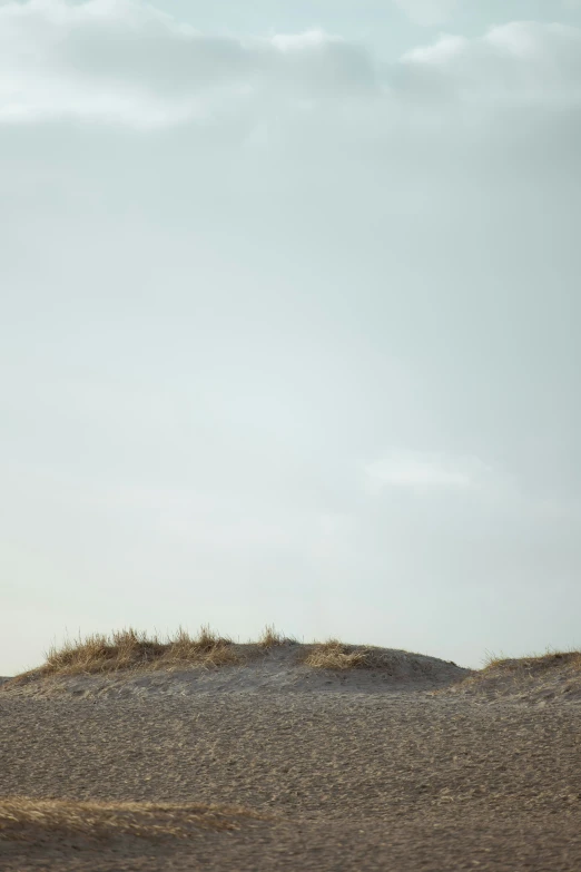 a giraffe walking on a desert area near grass