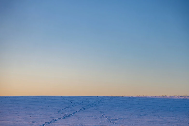 lone ski boarder in snow with bright blue sky