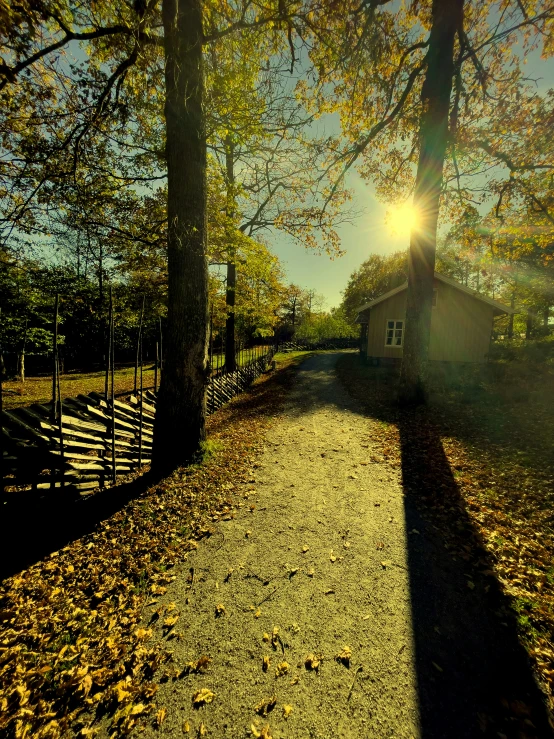 a sunburst shines brightly over a grassy path in a park