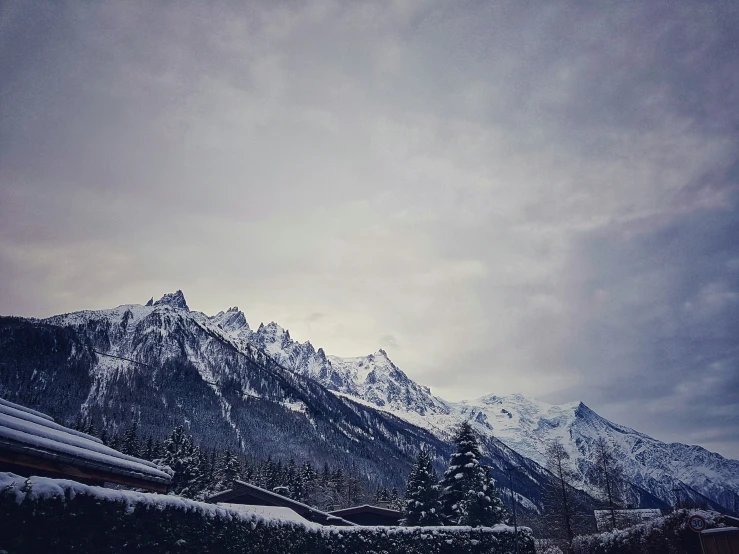 a large long snow covered mountain with trees on it