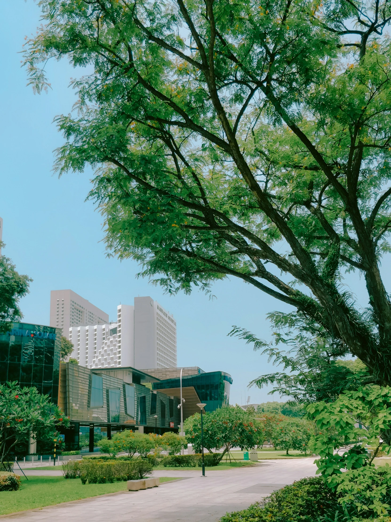 the trees have green leaves in front of a building