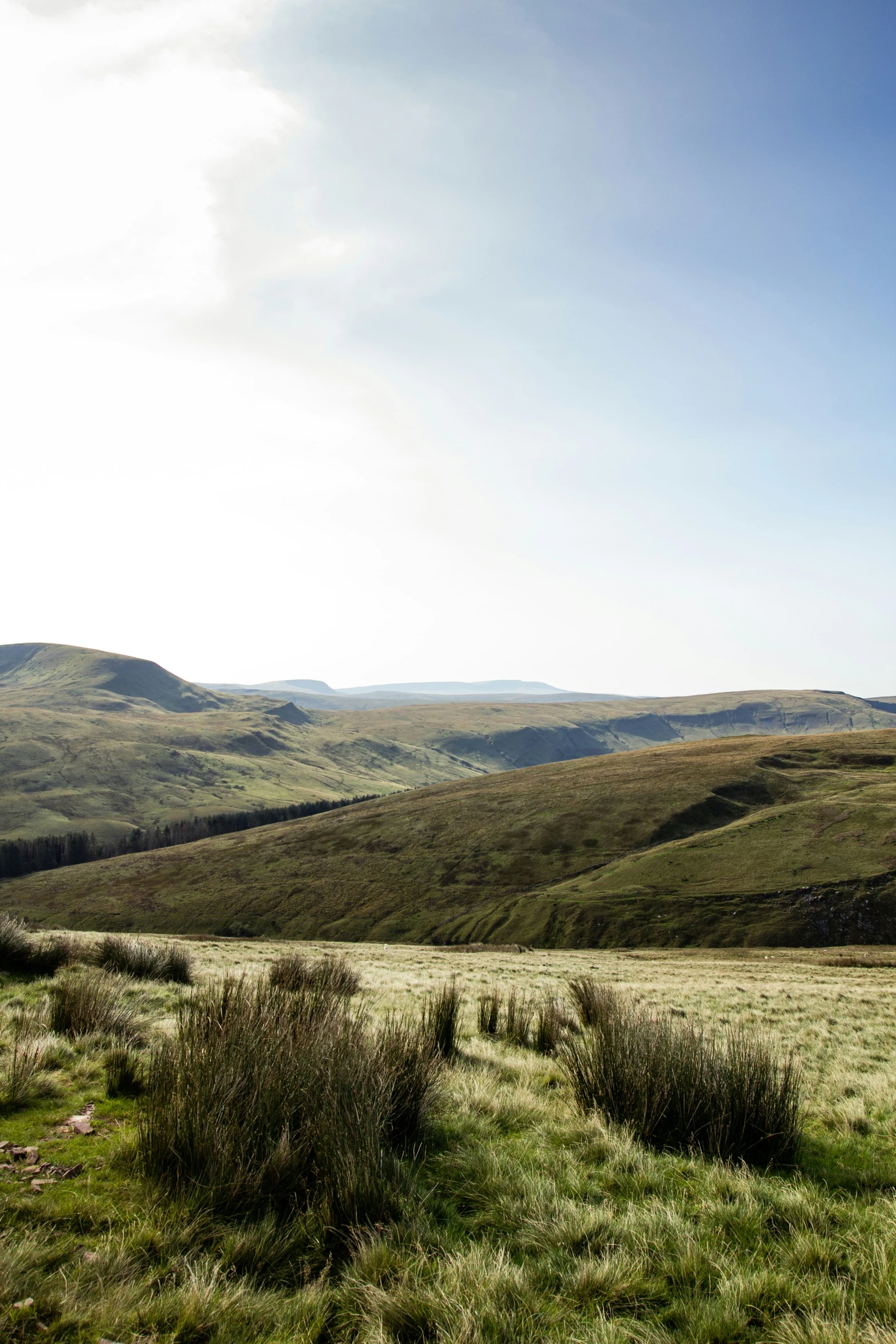 a view of a lush green field with hills in the distance